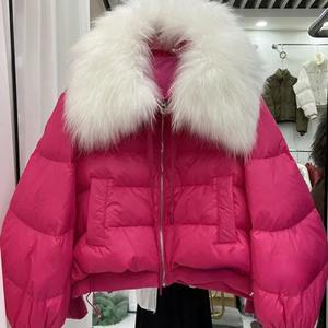 เสื้อแจ็คเก็ตขนเป็ดตัวสั้นสำหรับผู้หญิงมาใหม่เสื้อโค้ทขนเป็ดสีขาวปกตั้งพิมพ์ลายเสื้อโค้ทขนสัตว์แท้ระบายอากาศและหลวม - Product Image 6