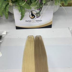 Chaud meilleure qualité 100% brut vierge naturel soyeux lisse vietnamien cheveux naturel droit couleur trame Extension de cheveux - Product Image 4