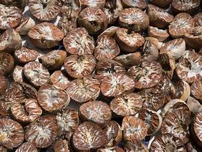 TUERCA PURA DE ARECA CONGELADA DE GRANJAS SELECCIONADAS/RESPETO CON VEGANOS/SIN ADITIVOS/MÉTODO DE CONGELACIÓN SUAVE - Product Image 2