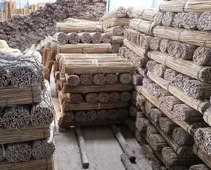 Penjualan Terbaik Vietnam-Tiang Bambu Besar dan Kuat Tiang Bambu Bebas Pajak-Bahan Baku untuk Berkebun dan Dekorasi