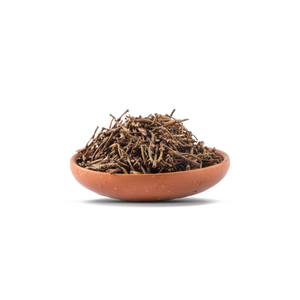 Tallo de clavo de alta calidad para condimentos y fines terapéuticos disponible a granel - Product Image 4