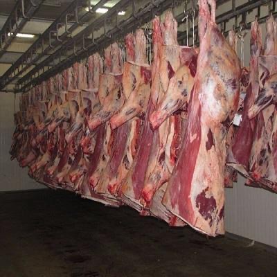 Продажа оптом, замороженная говядина без костей с халяльной обрезкой/замороженная ГОВЯЖЬЯ туша на экспорт уже сейчас
