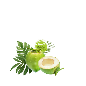 Coco fresco pelado-Absolutamente delicioso - Product Image 4