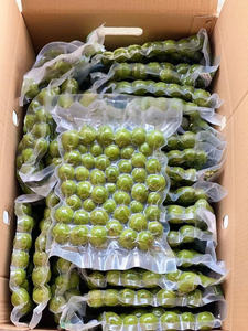 FROZEN DRACONTOMELON FRUIT / SOUR AND AROMATIC / READY FOR <b>PICKLES</b> BEVERAGES AND OEM VIETNAMESE CUISINE EXPORT APPLICATIONS - Product Image 4