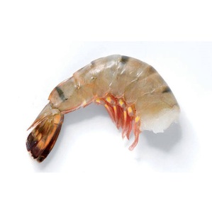 Camarones Tigre Congelados HLSO - Compra al por Mayor de Camarones Tigre para Procesamiento de Alimentos - Product Image 2