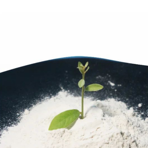 Engrais biologique à libération lente en poudre de dolomite 100 % haute pureté pour le conditionnement des sols agricoles - Product Image 2