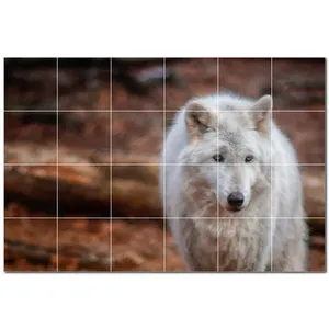 <b>Wolf</b> Ceramic Tile <b>Wall</b> Mural PT501242. 25.5" W x 17" H (24) 4.25 tiles - Product Image 1