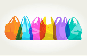 Fábrica se especializa en bolsas de compras de plástico PP duraderas elegantes y reutilizables hechas en Vietnam - Product Image 6