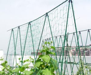 Dưa chuột lưới mắt cáo net, dưa chuột net, màu xanh lá cây và trắng nhà máy hỗ trợ net - Product Image 5