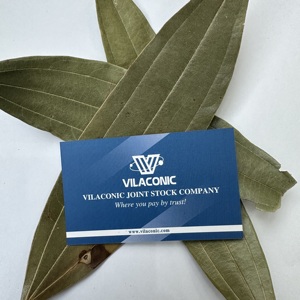 Venta al por mayor de alta calidad, hoja de Casia, canela, especias y hierbas secas individuales de Vietnam disponibles-Cinnamomum Cassia / ANNA DO VILA - Product Image 1