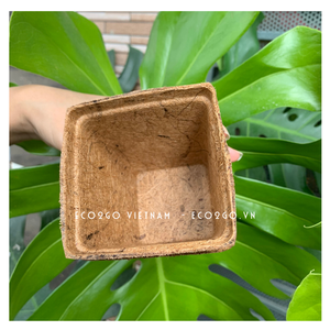 Ollas de fibra de coco en Vietnam/Olla de fibra de cáscara de coco/olla de fibra de coco con alta calidad y buen precio - Product Image 3
