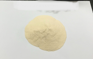 <b>NATURAL</b> POWDER <b>Sea</b> <b>Moss</b> Powder Rich Nutrients From Authentic Supplier - Product Image 4