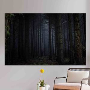 Impression sur toile de paysage de forêt sombre : Art mural Forêt Nocturne, TOILE ENVELOPPEE - Product Image 1