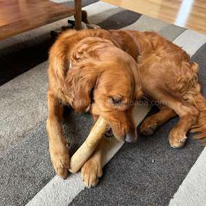 La varilla masticable ecológica de madera de café ayuda a limpiar los dientes y las encías al tiempo que mantiene a los perros ocupados y felices durante el juego diario. - Product Image 2