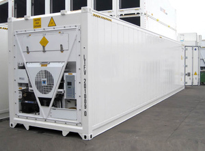 Contenedores Refrigerados de 40 pies para Exportación, Grado Comercial, con Sistema de Enchufe Eléctrico - Product Image 2