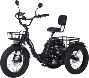 รถสามล้อไฟฟ้าสำหรับผู้ใหญ่750W (สูงสุด1350W) จักรยานไฟฟ้า48V13Ah eBike 20 "x 4.0" อลูมิเนียมพับยางไขมันสามล้อไฟฟ้า3ล้อ - Product Image 1