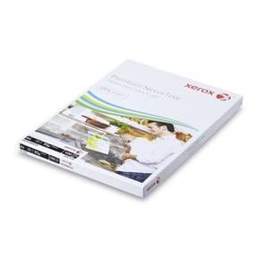 Papel Multiusos de Alta Calidad, Color, A4, 80g, Modelo 001, de Austria, para Oficina en Casa o Proyectos Escolares - Product Image 2