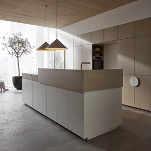 JY Project Customized Vietnam Wood Luxury <b>Furniture</b> European Market Custom Modern Design RTA <b>Kitchen</b> Cabinet Organizer Complete - Product Image 4