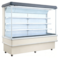 Vitrine réfrigérée à rideau d'air pour fruits et légumes de supermarché avec éclairage LED