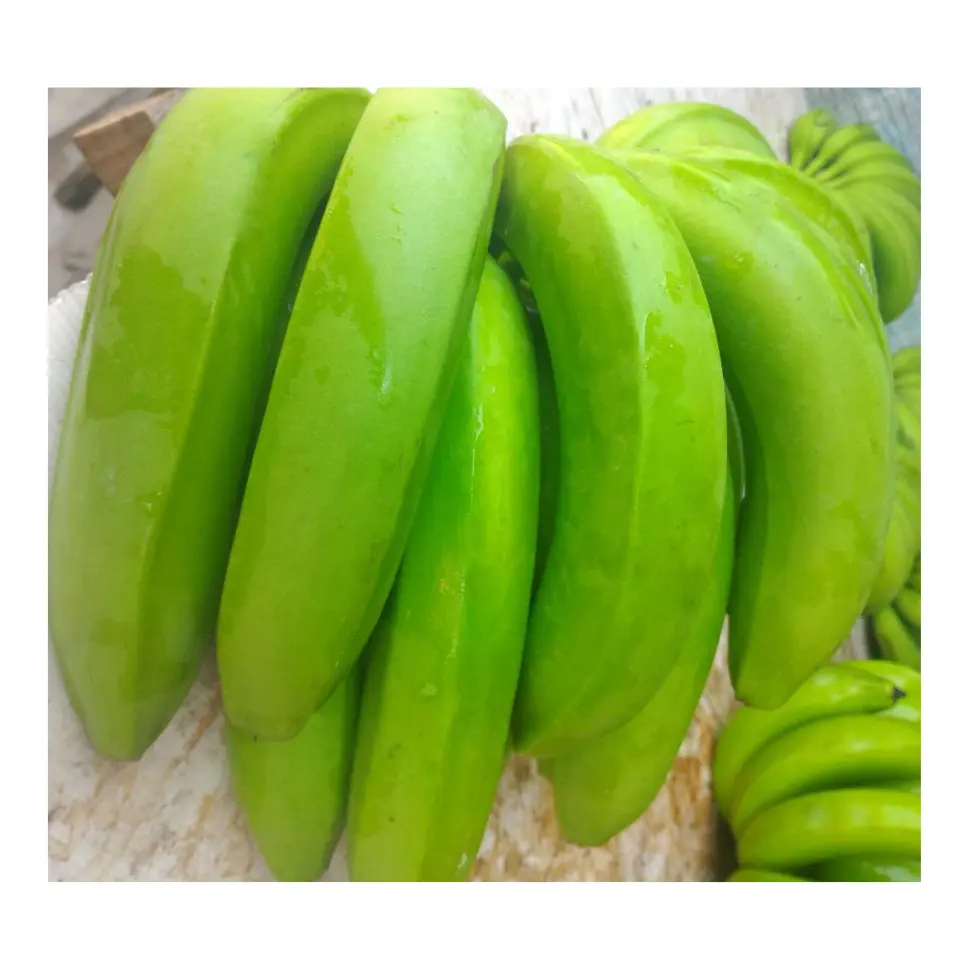 Prix à l'usine vietnamienne de bananes congelées pour l'exportation fruits frais bananes Cavendish de 99 Gold Data Vietnam