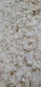 กล่องเครื่องชั่งปลานิลจากเวียดนาม-แอนนาทำจากดีไซด์แห้ง - Product Image 4