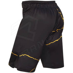 Haute Qualité Martial Personnalisé Hommes Shorts Combat Shorts MMA Compétition Formation Arts Martiaux Porter MMA Court - Product Image 6
