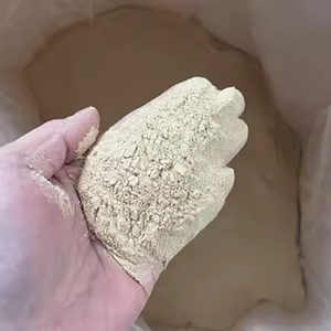 Levure en poudre de qualité alimentaire pour bovins et ovins, teneur en protéines de 60%, additif pour favoriser la nutrition, origine France - Product Image 3