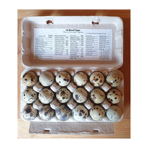 Plastic Clear Disposable Packing For Quail Eggs,15 Holes Quail Egg Trays