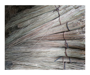 BÂTONS DE BALAI DE COCO-BÂTON DE BALAI DE NOIX DE COCO DU VIETNAM TOP VENTE 100% FABRIQUÉ À PARTIR DE BÂTON DE BALAI DE NOIX DE COCO - Product Image 1