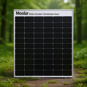 Panel Solar Moolar MOO-210-66H-720-GG - Product Image 3