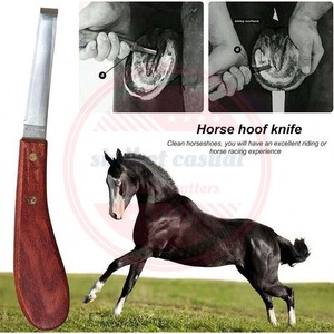 Professional Horses Hoof Care Tool 7 Pcs Horse Farrier Hoof Tools <b>Kit</b>\Customized Stainless Steel Veterinary Instrument - Product Image 5