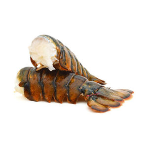 ขายส่งหางกุ้งล็อบสเตอร์แช่แข็งสำหรับร้านค้าปลีกและช่องทางการค้าส่ง - Product Image 6