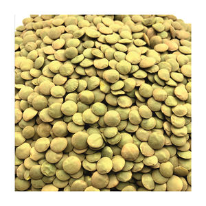 High Quality Russian Green <b>Lentils</b> (NON-GMO) Ready for Export - Product Image 1