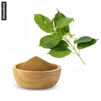 Poudre d'herbe de Gymnema Sylvestre (Gurmar) pure et naturelle de qualité supérieure, extraite par solvant, en vente en gros au meilleur prix du marché