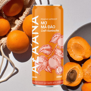พีชแอปริคอท Kombucha ประกายเล็กน้อย-เครื่องดื่มชาที่อุดมไปด้วยสารต้านอนุมูลอิสระเพื่อดีท็อกซ์ร่างกายของคุณและฟื้นฟูจิตใจของคุณ - Product Image 6