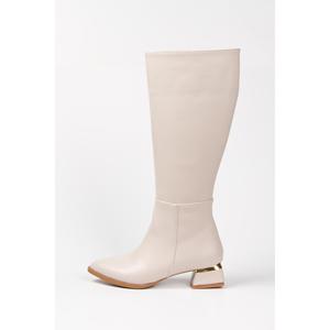 Stivali da donna Beige opaco