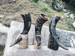 Cuerno vikingo para beber pulido ecológico natural con soporte de cuerno Feng Shui de alta calidad - Product Image 6