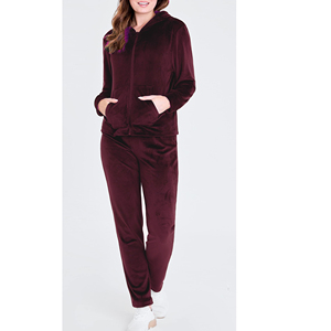 Vêtements de sport en velours doux pour femmes, sweat à capuche avec fermeture éclair, jogging en velours pour ensemble assorti, survêtement à capuche bon marché de taille normale - Product Image 4