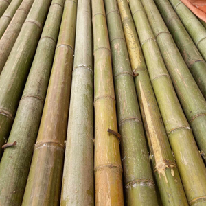 Baguettes de bambou incurvées Matières premières pour les meubles de bricolage et les installations d'art à la maison - Product Image 1