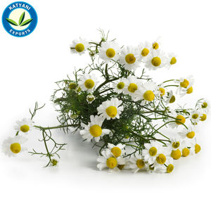 น้ำมันหอมระเหยคาโมมายล์ออร์แกนิกจากเยอรมันสำหรับเครื่องสำอางอโรมาเธอราพีผลิตภัณฑ์ดูแลผิว - Product Image 3