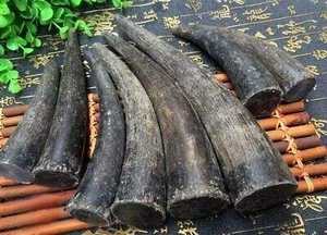 Puntas de Cuerno de Búfalo Ecológicas Personalizadas de Alta Calidad, Venta al por Mayor, Tallado Animal Moderno Natural, Técnica Pulida a Mano - Product Image 4