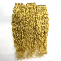 Extensions de cheveux indiens Remy de qualité supérieure, vierges non traités, blonds 613 décolorés, ondulés naturels, 16 pouces de long, à clipser