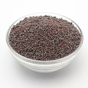 Graines de moutarde brune biologique, haute pureté, aromatiques, entières, pour la transformation alimentaire mondiale, fournisseurs B2B, usine, prix compétitifs - Product Image 5