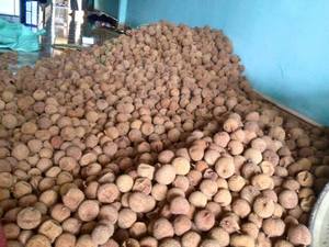 DISPONIBLE Naturel Litchi Séché Doux Snack Nutritif Vegan Meilleur Vendeur Exportation En Vrac Vietnam 2025 - Product Image 5