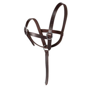 Professional <b>Top</b> Grade Western Saddle Horse <b>Halter</b> Soft Padded Nose Genuine <b>Leather</b> Customizable Color Logo for Daily Equestrian - Product Image 6