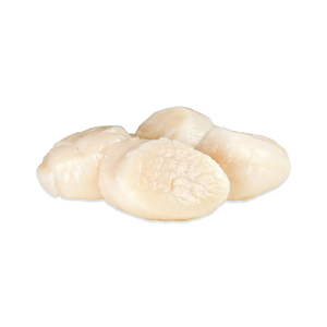 Marisco de vieiras congelado asequible disponible para la venta, ideal para venta al por menor o al por mayor - Product Image 6
