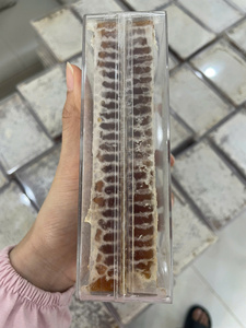 Miel de panal de Vietnam diseñada para mercados internacionales con apariencia consistente y suministro a granel confiable. - Product Image 2