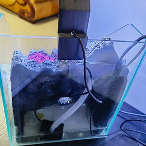 데스크탑 유리 어항, 산악 풍경 장식이 있는 투명 수족관, 베타 물고기, 소형 애완동물, 가정 및 사무실 장식용 - Product Image 3
