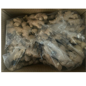 ขิงสดที่เก็บเกี่ยวมีรสชาติฉุนผิวสดใสและขนาดที่เหมือนกันเป็นตัวเลือกที่ดีที่สุดสำหรับการทำอาหาร - Product Image 4