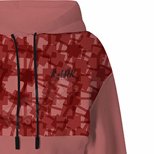 Nouvelles tendances, meilleur matériau, faible MOQ, prix bas, respirant, respectueux de l'environnement, sweat-shirts à capuche pour femmes - Product Image 3
